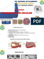 Anatomia Semana 6.1