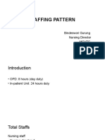 Staffing Pattern: Bindeswori Gurung Nursing Director MCVTC