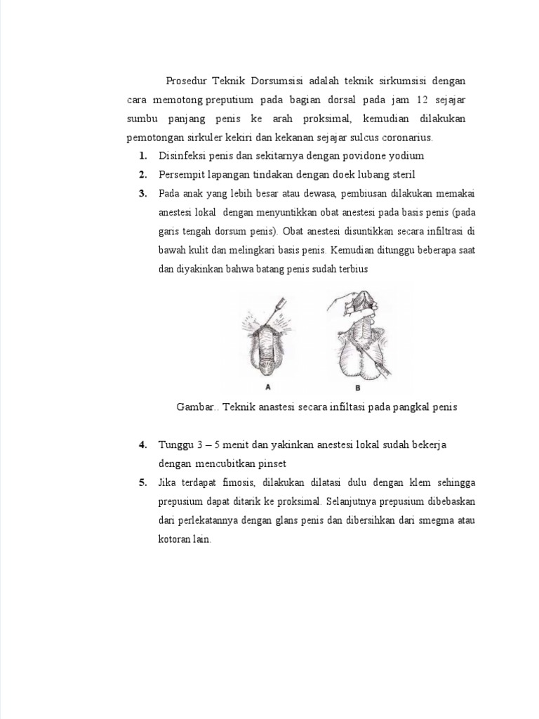 Dorsal Slit - Dorsumsisi | PDF