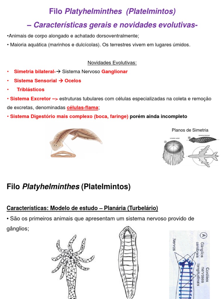 9 9 2018-20-03 Aula de Platelmintos e Verminoses PDF | PDF | Biologia ...