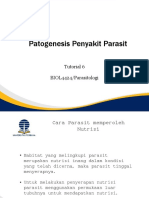 Power Point 6 Parasitologi 2019