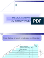 Cap. III Mediul Ambiant Al Intreprinderii