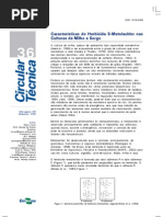 Características do Herbicida S-Metolachlor nas culturas de milho e sorgo