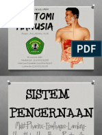 Pdfcoffee.com Ppt Anatomi Sistem Pencernaan Manusia PDF Free