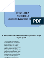 Ersandra Cyber Law
