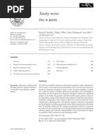 Download Zinc in Plants by Randy Rosales Montero SN54521639 doc pdf