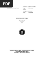 Download Laporan Mikrob in Vitro by Yanuar Ishaq Dc SN54522373 doc pdf