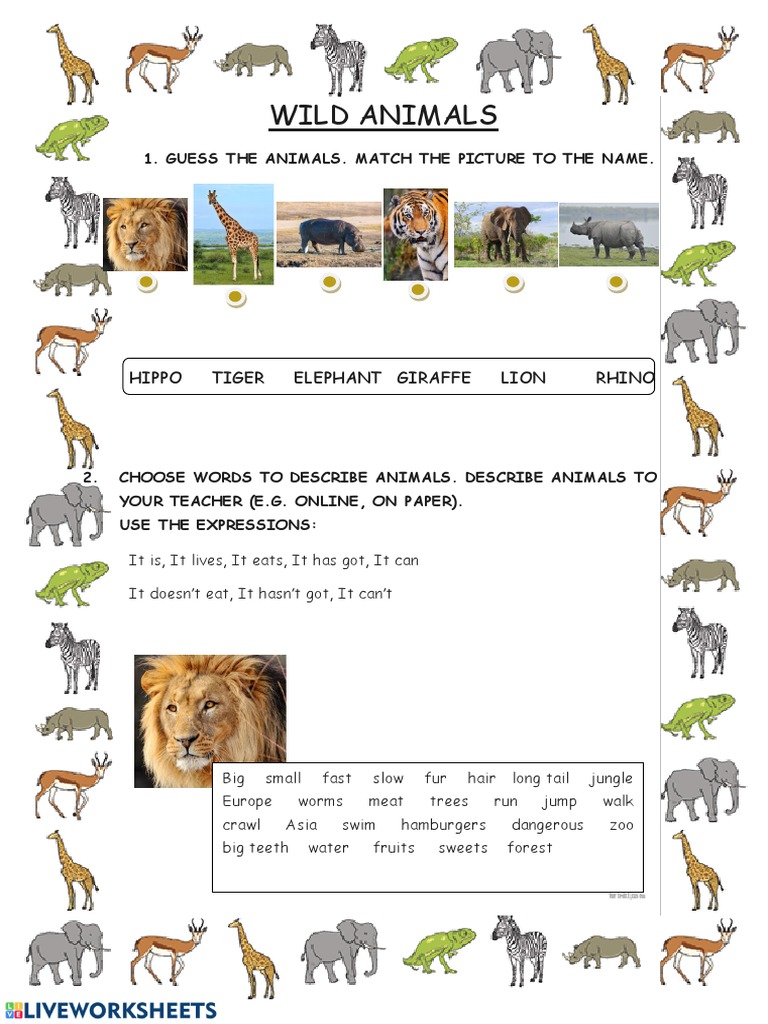Guess The Animal | PDF | Zoo | Elephant