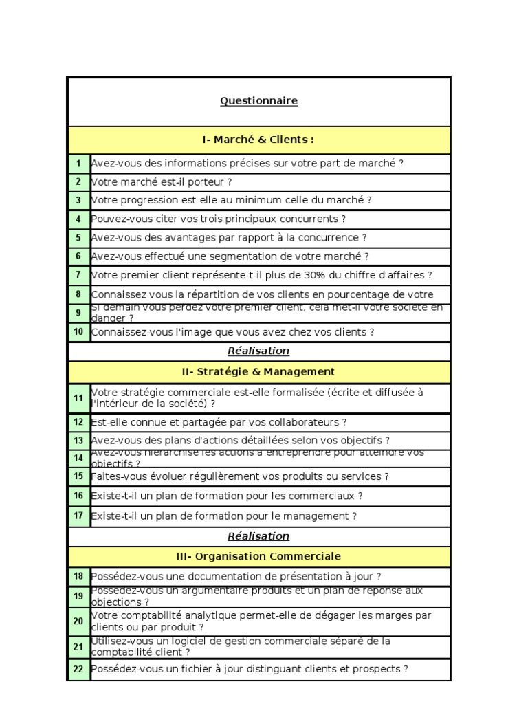 Questionnaire Audit Commercial  Stratégie marketing  Sodles