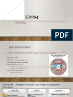 SAP ePPM - Vision General