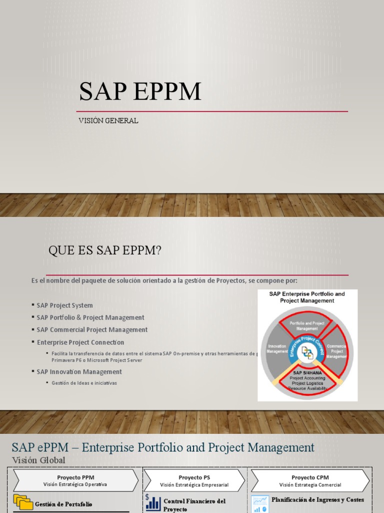 SAP EPPM: Gestión de Proyectos Eficiente | PDF | Gestión de proyectos ...