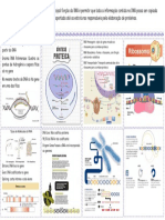 2 - Biologia Transcrição e RNA