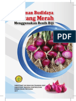 Bawang Merah Benih Biji