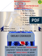 Kelompok 1 Organ Endokrin Dan Organ-Organ Sistem Reproduksi (Pengembangbiakan)