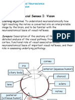 ANAT204 Vision 2011