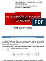 Determinação Tamanho Da Amostra