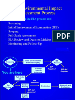 The Environmental Impact Assessment Process