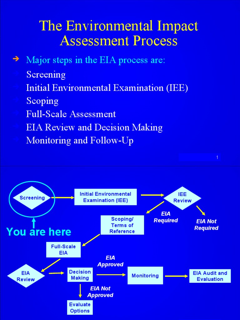 The Environmental Impact Assessment Process Download Free Pdf