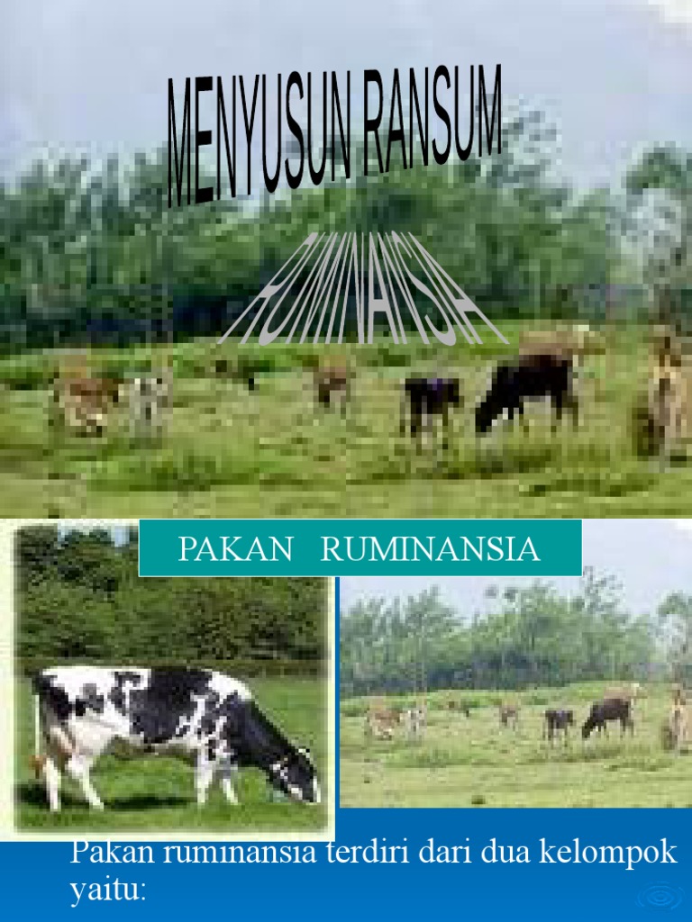 Nutrisi dan Ransum Pakan Ruminansia | PDF | Memasak, Makanan, & Anggur ...