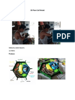 Villafuerte, Andrei Eduard S. (3D Plant Cell Model)