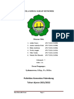 Sistem Saraf Sensorik-2