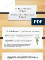 Curso de Aromaterapia - Estudo dos OE de Palmarosa e Petitgrain