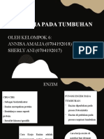 PPT KEL.6 BIOKIMIA PADA TUMBUHAN