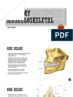 Anatomy Muskuloskeletal Gigi Geligi