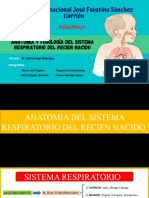 Anatomia y Fisiologia Del Sistema Respiratorio Del Recien Nacido
