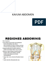 ABDOMEN ANATOMY