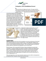 Total Hip Arthroplasty (THA) Rehabilitation Protocol