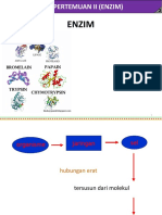 Enzim Dan Metabolisme Karbohidrat