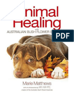 Animal Healing With Australian Bush Flower Essences - Complementary Medicine For Animals