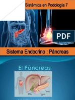 Pancreas 7