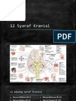 12 Syaraf Kranial