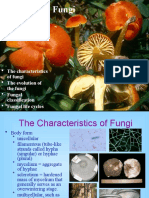 Kingdom Fungi: The Characteristics of Fungi The Evolution of The Fungi Fungal Classification Fungal Life Cycles