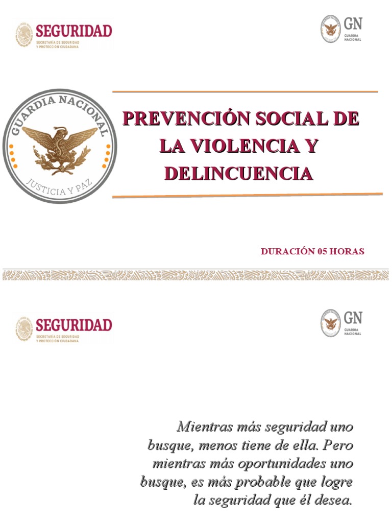 Prevención de Violencia y Delincuencia Social | PDF | Violencia | Policía