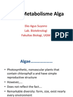 Alga & Metabolisme Alga: Eko Agus Suyono Lab. Bioteknologi Fakultas Biologi, UGM