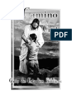 El Camino A Cristo