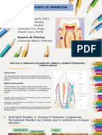 Periodonto de inserción: cemento, ligamento periodontal y hueso alveolar