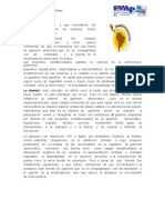 Modulo 1 Doctrina Bolivarianalecturas Complementariaspdfppp 9 1024