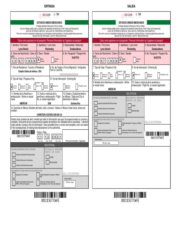 Forma Migratoria 00011507704FE | PDF | Visa de viaje | Relaciones  Internacionales