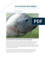 Avances en La Nutrición de La Tilapia