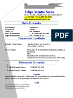 Curriculum Luis Felipe