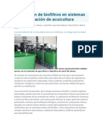 Inoculación de Biofiltros en Sistemas de Recirculación de Acuicultura