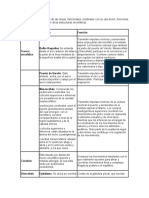 Tabla de Las Áreas Funcionales Cerebrales Con Su Ubicación Morfofisiologia