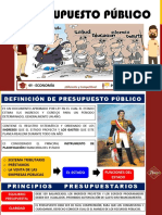 Presupuesto Publico