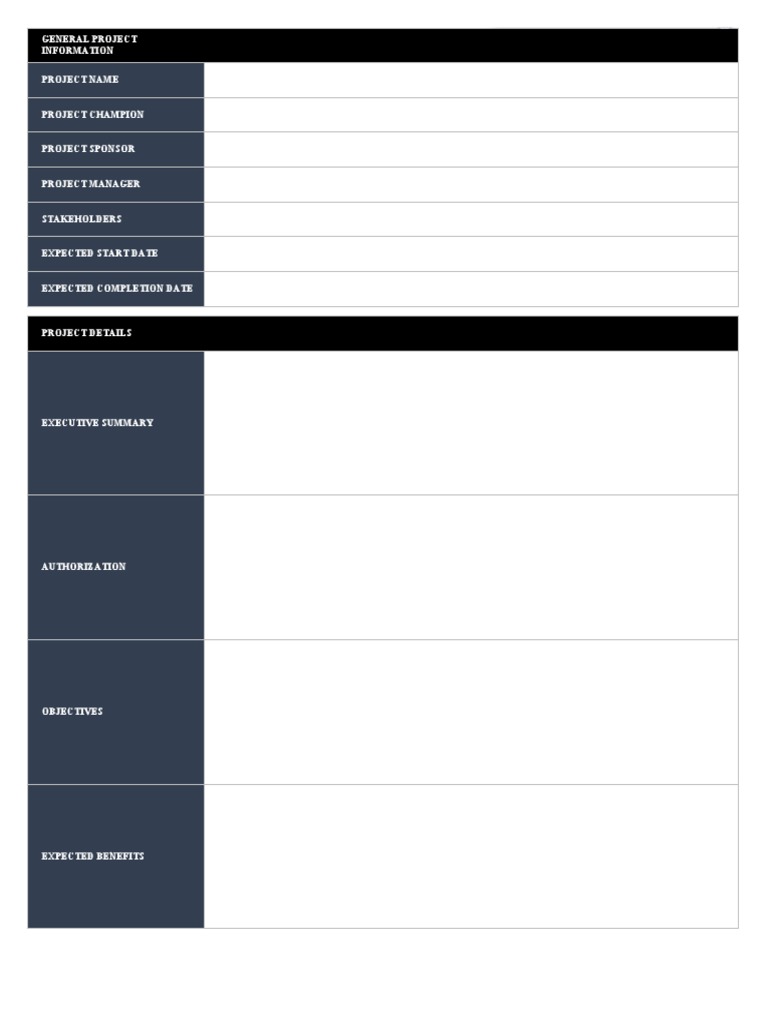 IC Agile Project Charter Template 8561 PDF