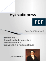 Hydraulic Press Sanja Simic