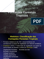3 - Formaç - Es Florestais Tropicais